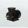 歐瑞傳動(dòng) EVPM系列永磁同步無感電機(jī)